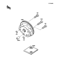 Oil Pump/Oil Filter