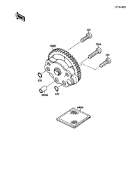 Oil Pump/Oil Filter