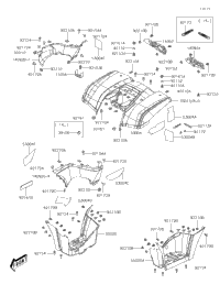 Rear Fender(S)