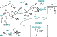 Harness Wire