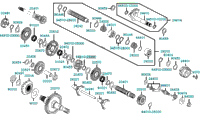 Clutch Assy Primary