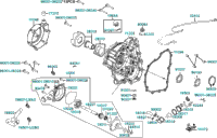 Right Crankcase Cover Water Pump