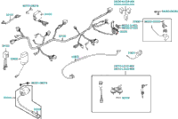 Harness Wire