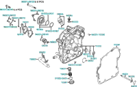 Right Crankcase Cover Water Pump