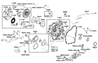 Right Crankcase Cover & Water Pump