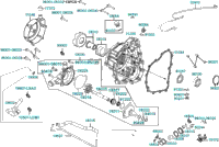 Right Crankcase Cover Water Pump
