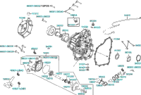 Right Crankcase Cover Water Pump