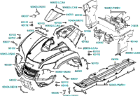 Fender Front