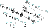 Clutch Assy Primary