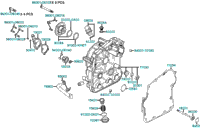 Right Crankcase Cover Water Pump