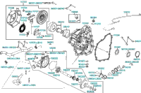 Right Crankcase Cover Water Pump