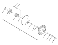 Driven Clutch Assembly