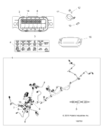 Electrical, Harness