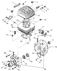 Crankcase & Cylinder Trail Boss