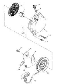 Recoil Starter Xplorer 300