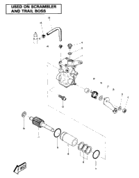 Oil Pump Assembly