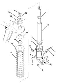 Strut Assembly