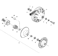 Driven Clutch