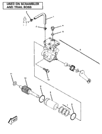 Oil Pump Assembly