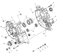 Crankcase Xplorer 500
