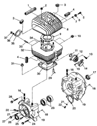 Crankcase & Cylinder Trail Blazer