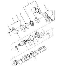 Starting Motor Assembly