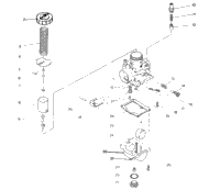 Carburetor Assembly 250 4X4
