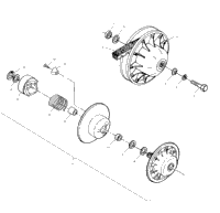 Driven Clutch
