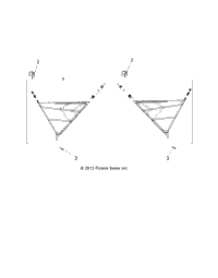 Body, Side Nets