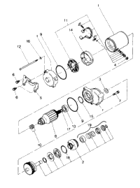 Starting Motor Assembly