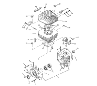 Crankcase & Cylinder 250 2X4