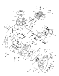 Crankcase & Cylinder Scrambler