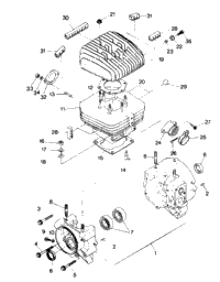 Crankcase & Cylinder Assembly