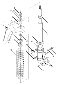 Strut Assembly