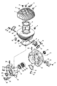 Crankcase & Cylinder Xpress 300