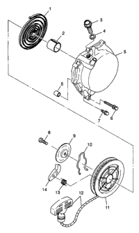 Recoil Starter Xplorer 300