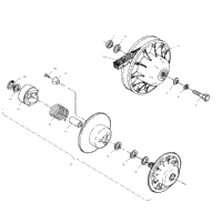 Driven Clutch