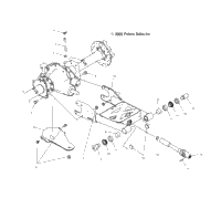 Swing Arm/Rear Axle Mounting