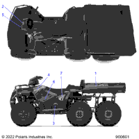 Body, Decals Graphic