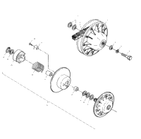 Driven Clutch