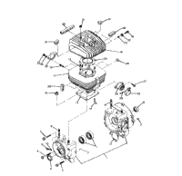 Crankcase & Cylinder Assembly 250 6X6