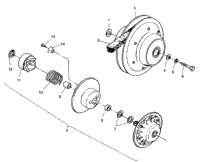 Driven Clutch Assembly 6X6 250