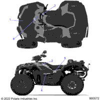 Body, Decals Graphic