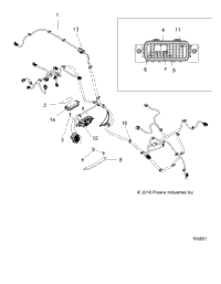 Electrical, Wire Harness