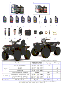 *Service And Maintenance Atv Xp1000 Trg/Trl/Ult/Rc/Hunt *