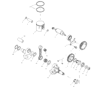 Piston & Crankshaft