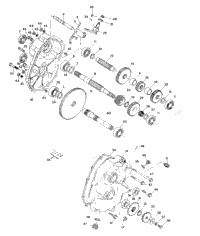 Gearcase Assembly 250 4X4
