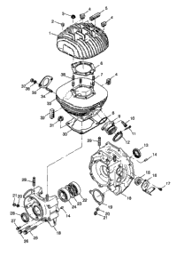Crankcase & Cylinder Xplorer 300