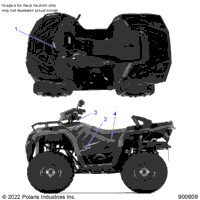 Body, Decals Graphic