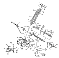 Swing Arm/Shock Mounting